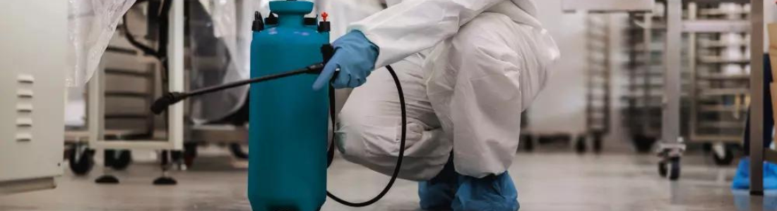 Dedetização Profissional: Proteja Sua Casa Contra Pragas e Infestações  24 HORAS